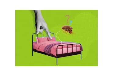 PUNAISES DE LIT - Présence sur le lieu de travail