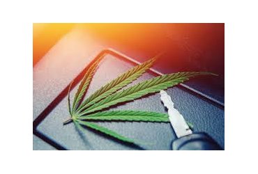 CBD ou conduire&nbsp;: il faut choisir